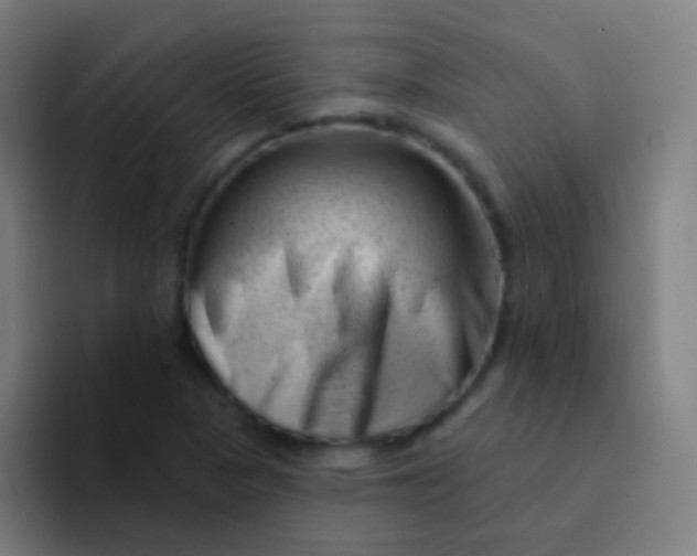X0000094331313200711161942