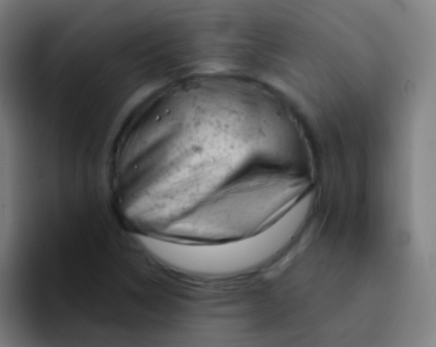 X0000094331314200711161942