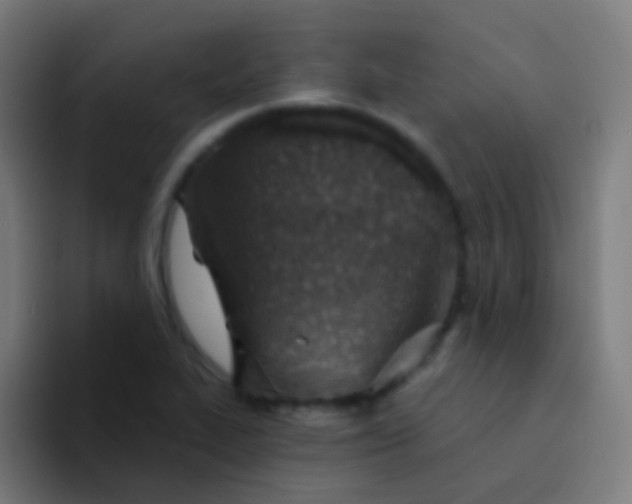 X0000094331319200711161942