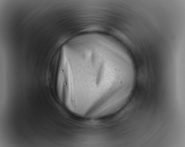 X0000094331321200711161942