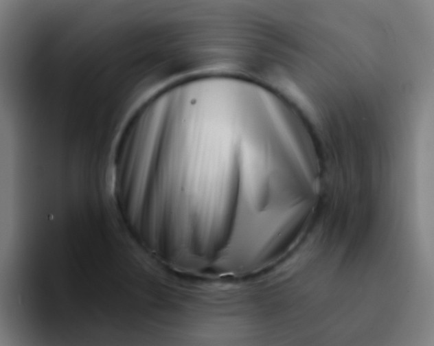 X0000094331324200711161942