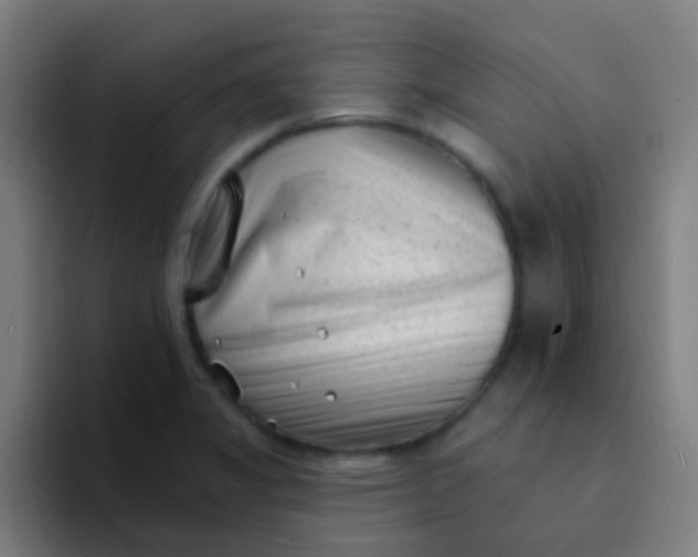 X0000094331325200711161942
