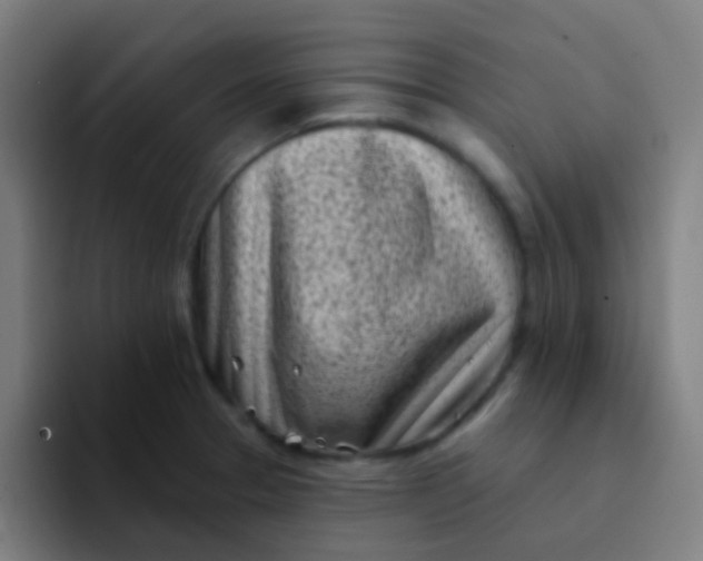 X0000094331329200711161942