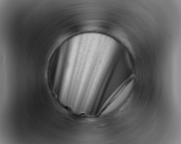 X0000094331330200711161942