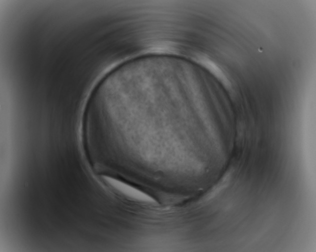 X0000094331331200711161942