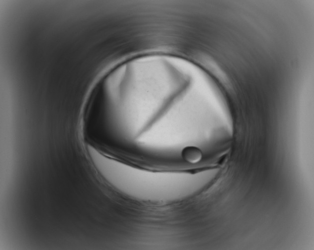 X0000094331332200711161942