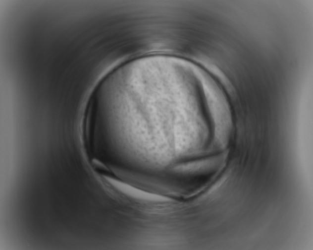 X0000094331333200711161942