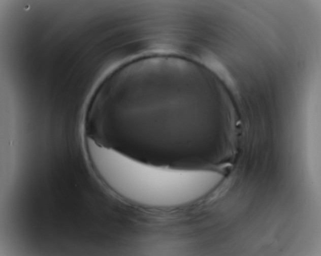 X0000094331334200711161942