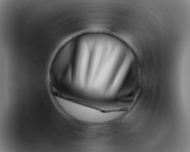 X0000094331335200711161942