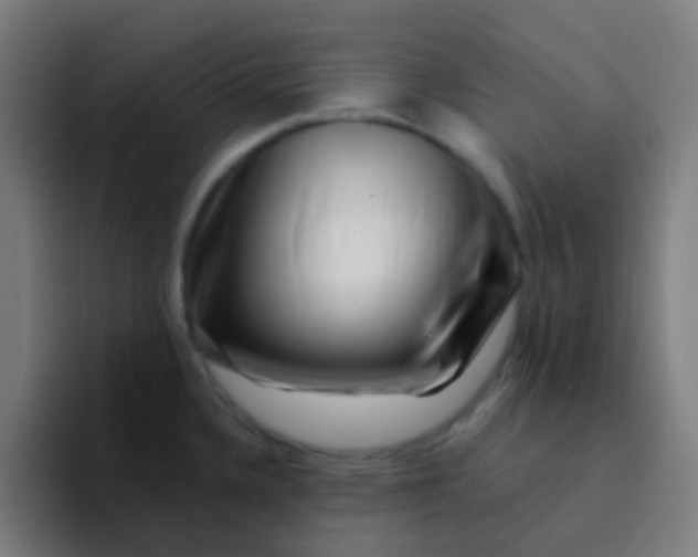 X0000094331336200711161942