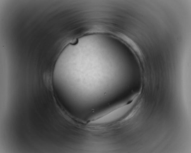 X0000094331337200711161942