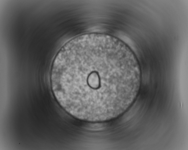 X0000094331338200711161942