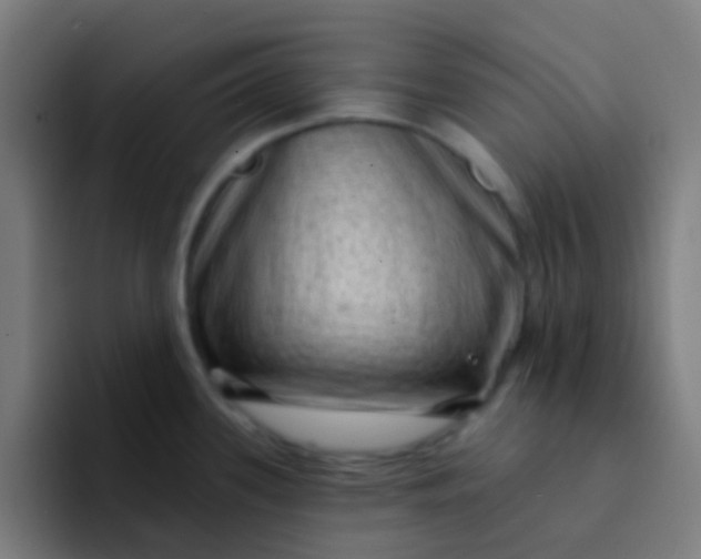 X0000094331339200711161942