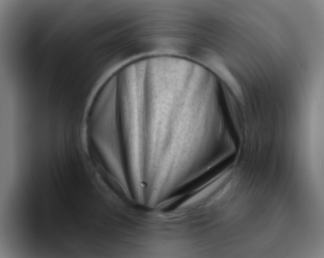 X0000094331340200711161942