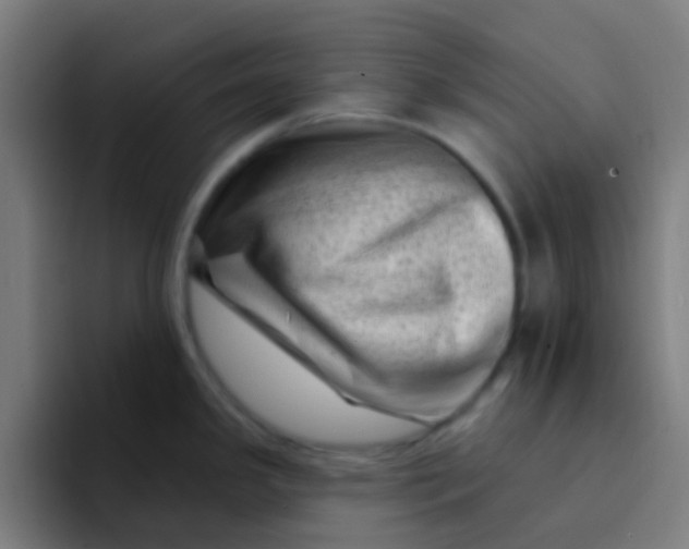 X0000094331341200711161942