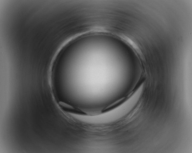 X0000094331342200711161942