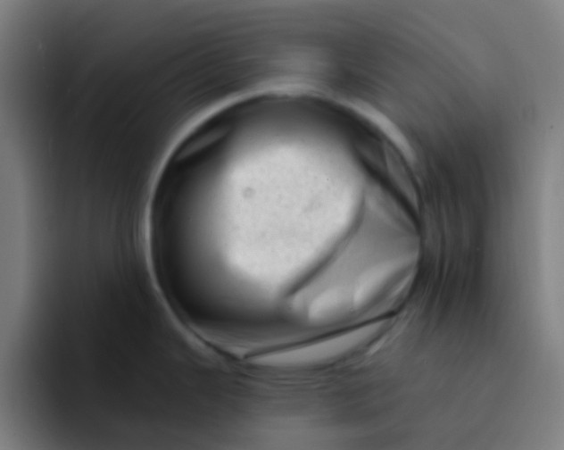 X0000094331343200711161942