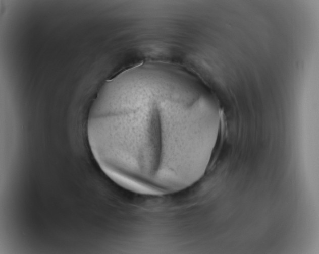 X0000094331345200711161941
