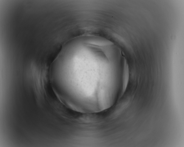 X0000094331346200711161941