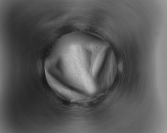 X0000094331347200711161941