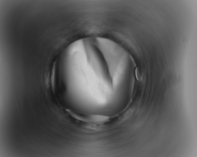 X0000094331348200711161941