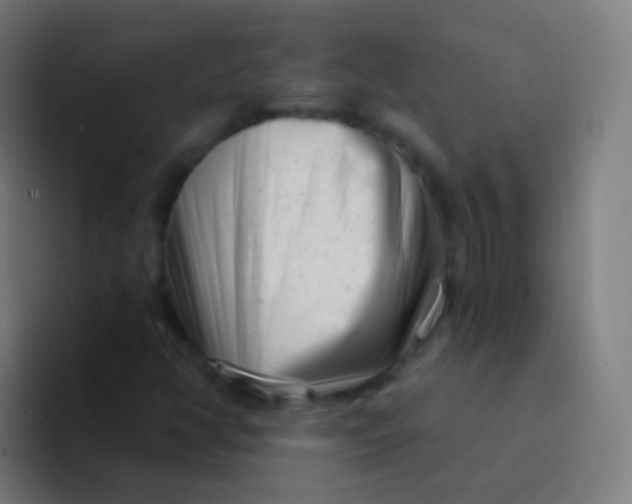 X0000094331350200711161941