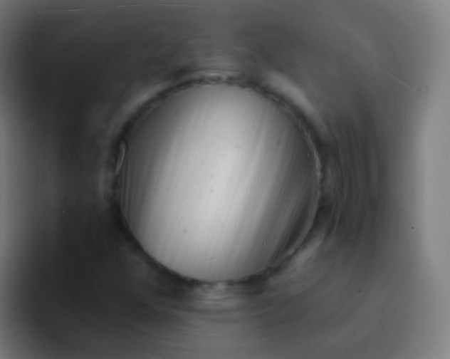 X0000094331352200711161941
