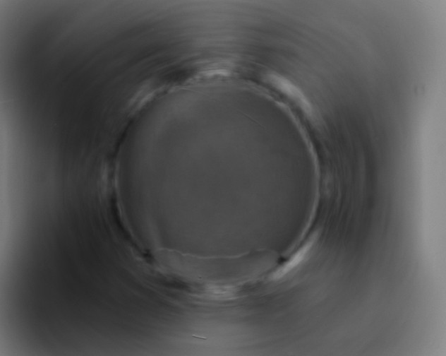 X0000094331353200711161941