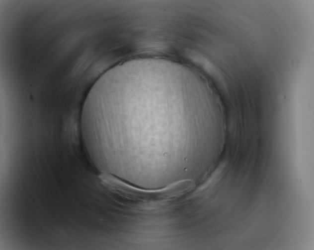 X0000094331354200711161941