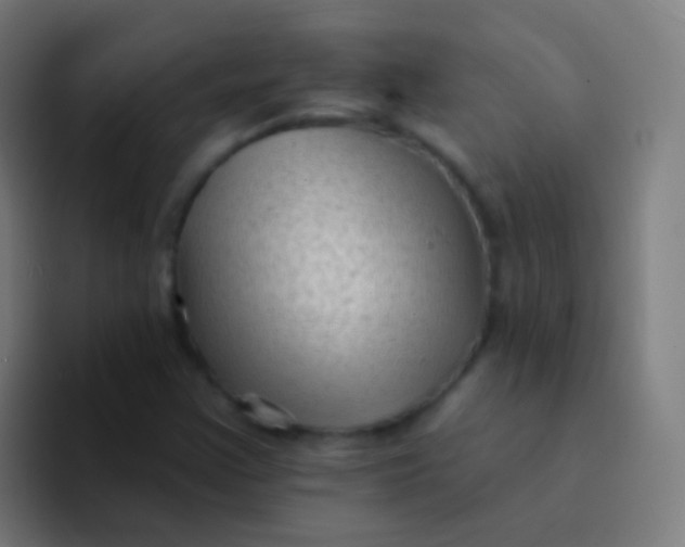 X0000094331355200711161941