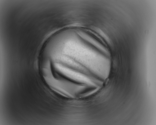 X0000094331356200711161941