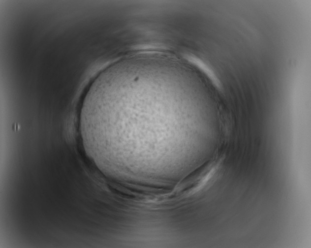 X0000094331357200711161941