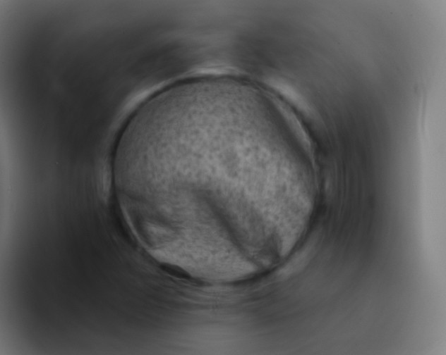 X0000094331358200711161941