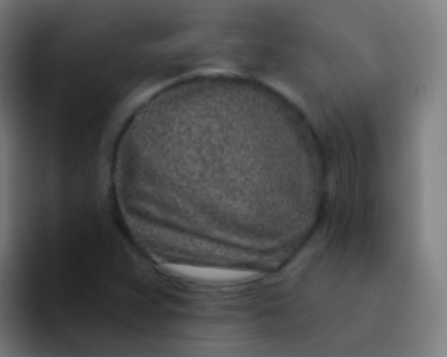 X0000094331359200711161941