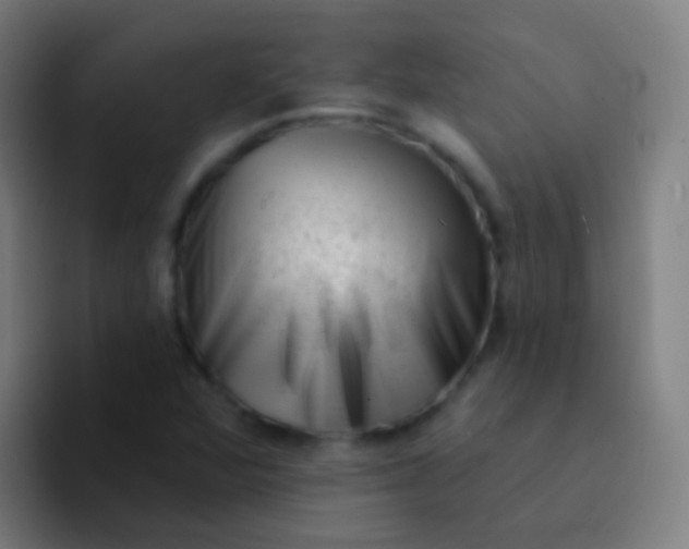 X0000094331360200711161941