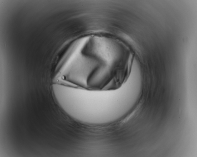 X0000094331361200711161941