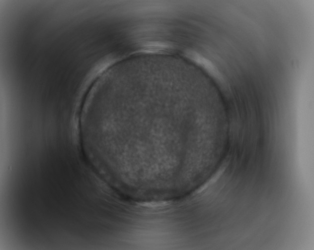 X0000094331362200711161941