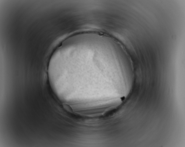 X0000094331363200711161941