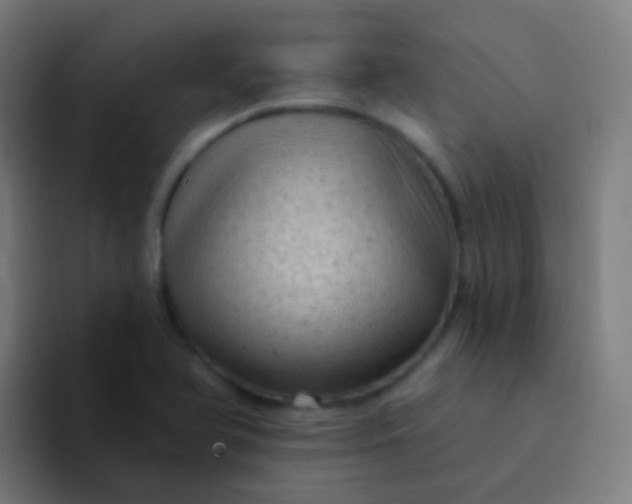 X0000094331366200711161941