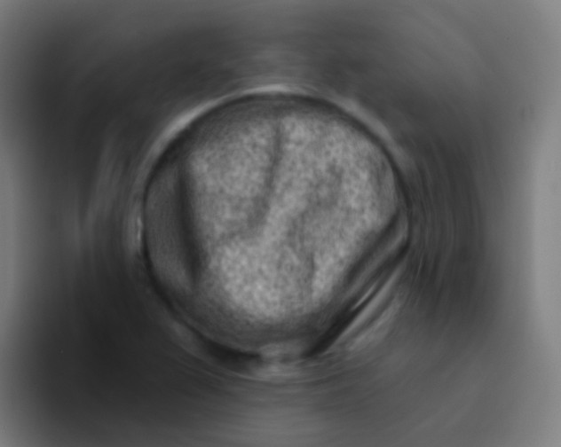X0000094331367200711161941