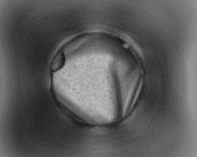 X0000094331368200711161941