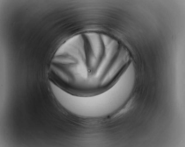 X0000094331369200711161941