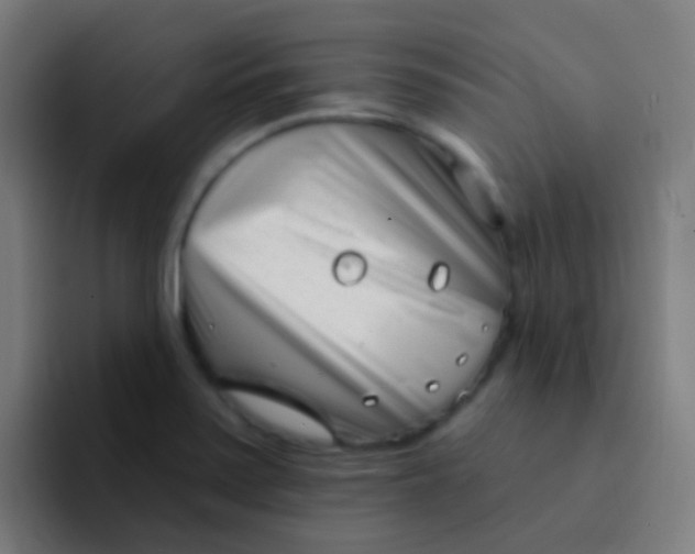 X0000094331371200711161941