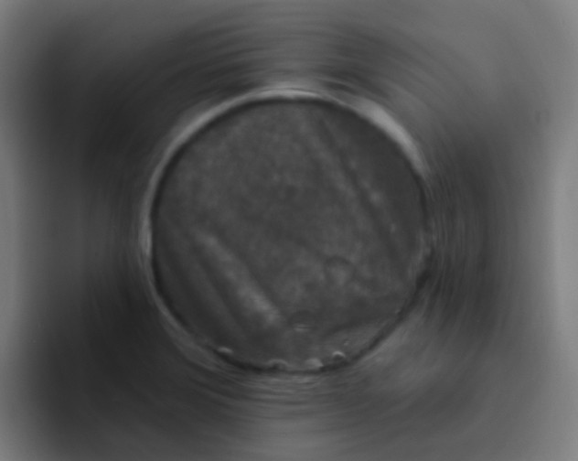 X0000094331372200711161941