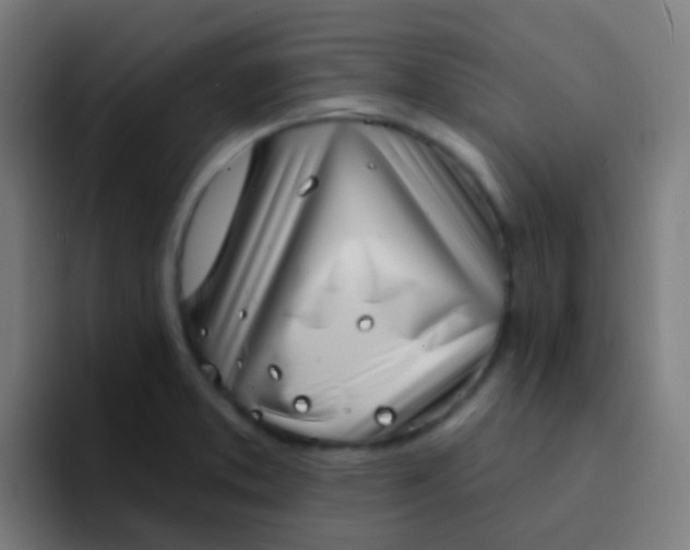 X0000094331373200711161941
