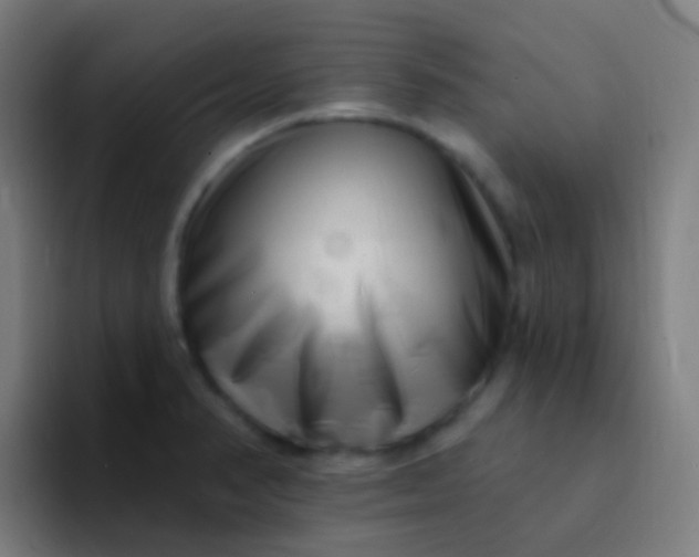X0000094331374200711161941