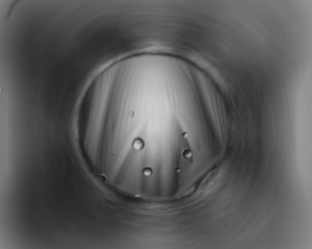 X0000094331375200711161941
