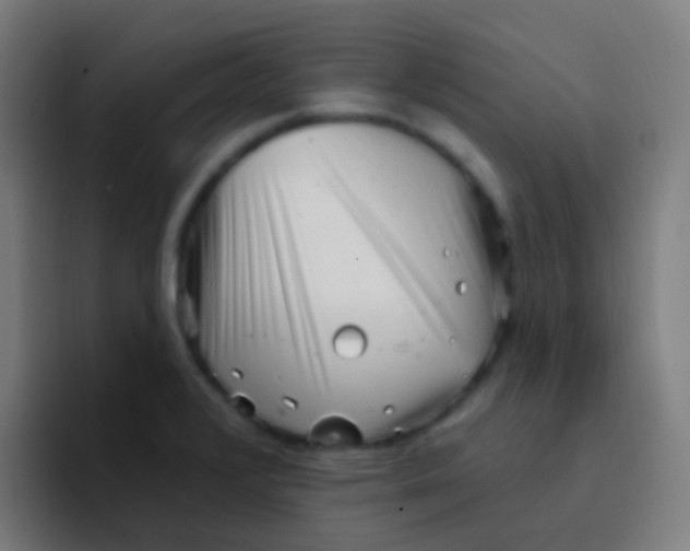 X0000094331376200711161941