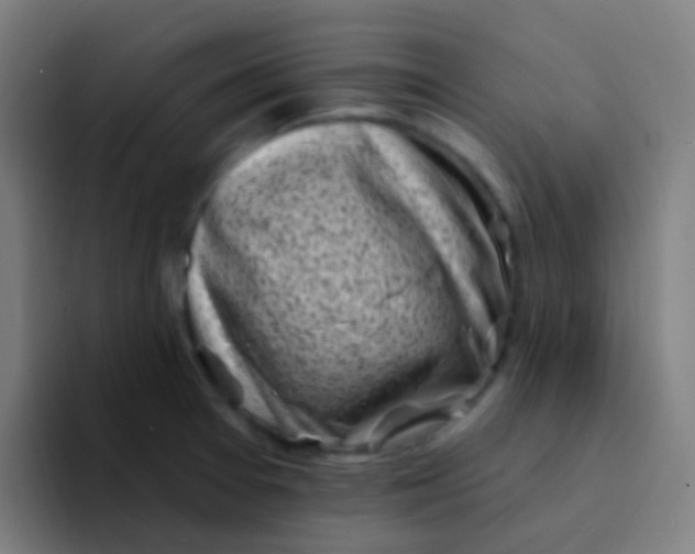 X0000094331377200711161941