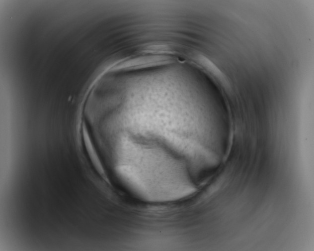 X0000094331378200711161941